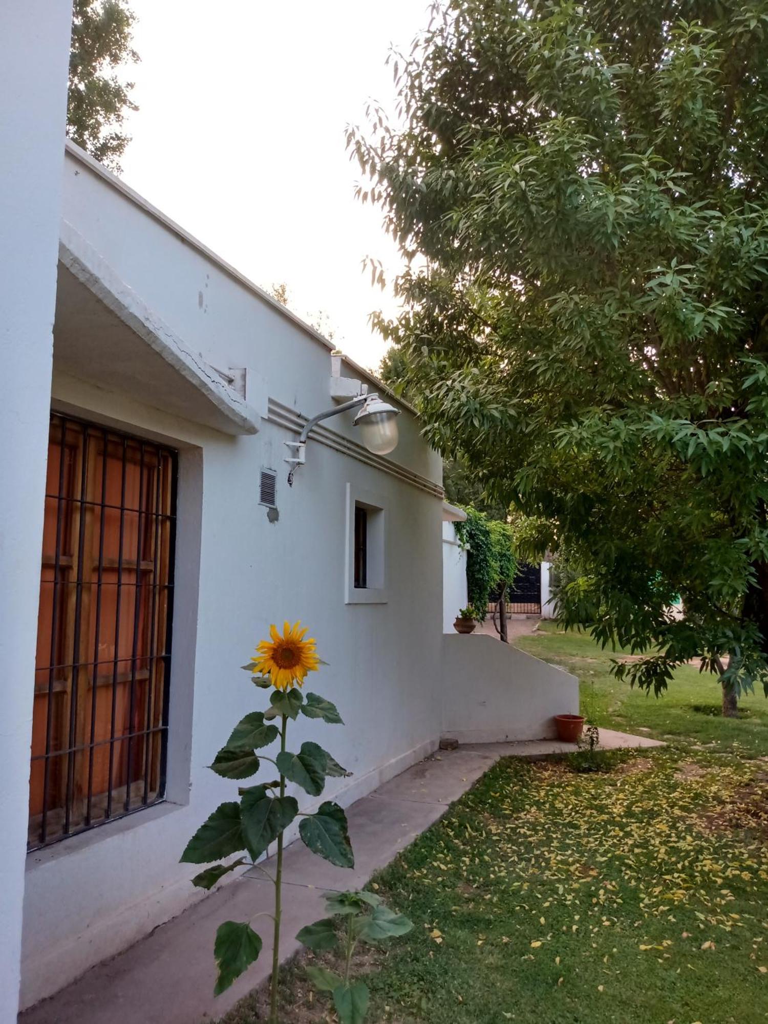 Bed and Breakfast Los Siete Chakras Lujan de Cuyo Exteriér fotografie